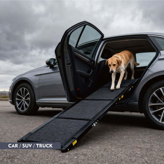 Senior dog walking down the TrailRamp™ extra long dog ramp for lifted trucks in a parking lot