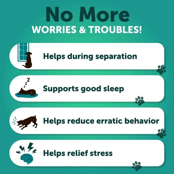 Calming chews for dogs — helps during separation, supports good sleep, reduces erratic behavior and relieves stress