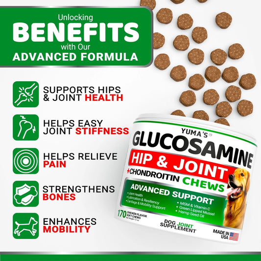 glucosamine chews for dogs - chondroitin MSM boswellia green lipped mussel benefits panel