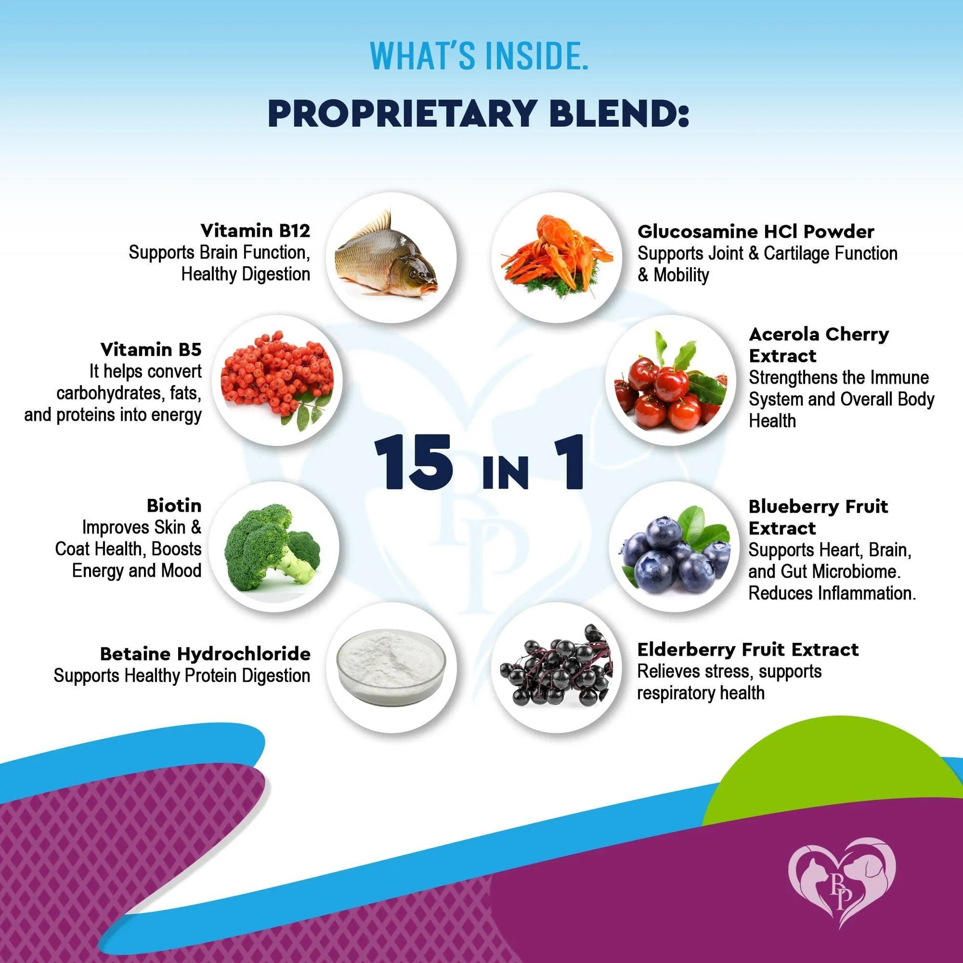 Multivitamin for dogs and cats proprietary blend — elderberry, blueberry, acerola cherry, betaine HCl