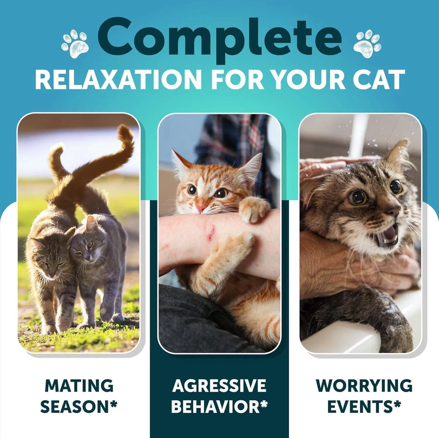 Complete relaxation for your cat during mating season, aggressive behavior, and worrying events with hemp calming chews for cats.