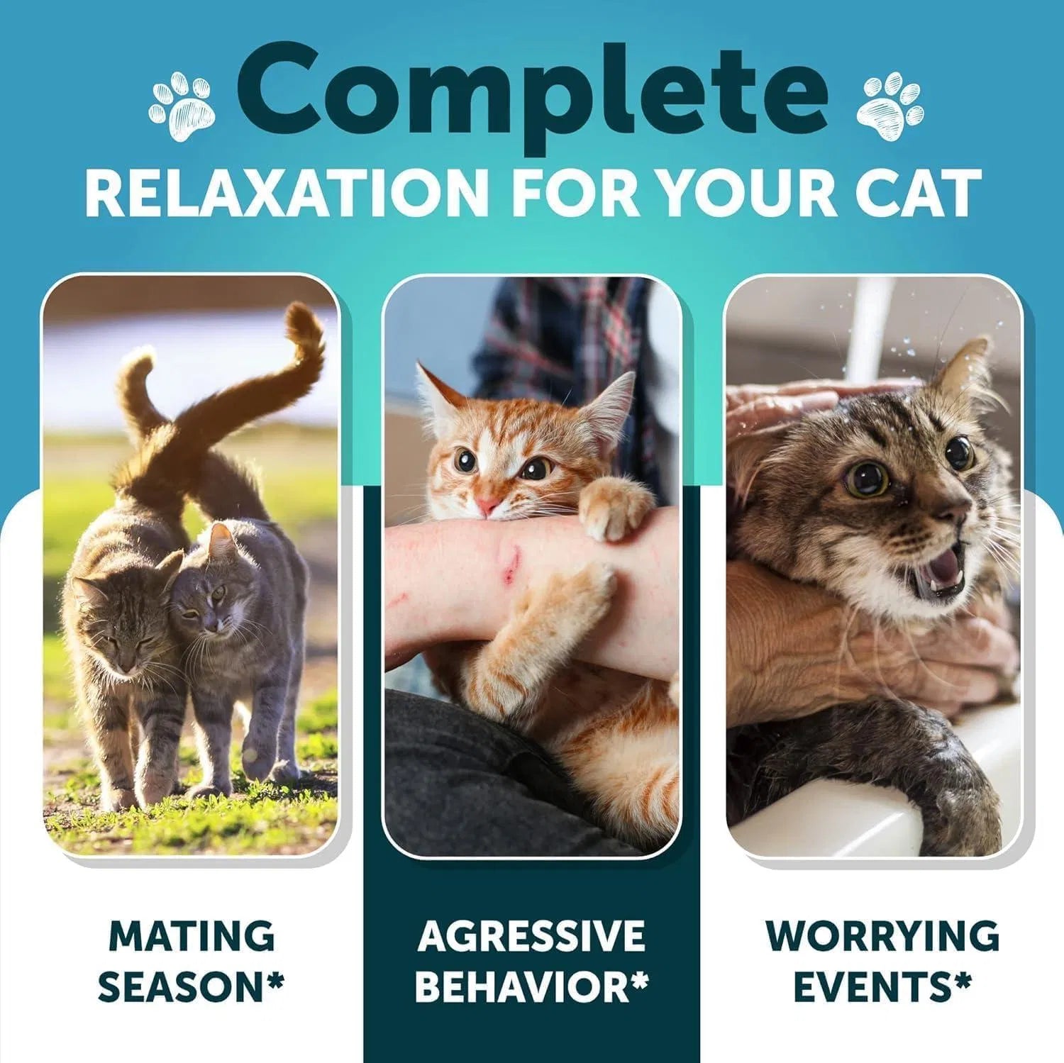 Complete relaxation for your cat during mating season, aggressive behavior, and worrying events with hemp calming chews for cats.