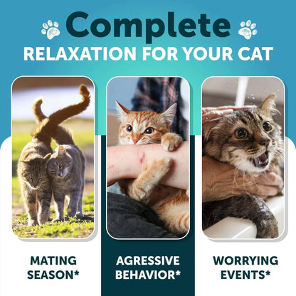 Complete relaxation for your cat during mating season, aggressive behavior, and worrying events with hemp calming chews for cats.