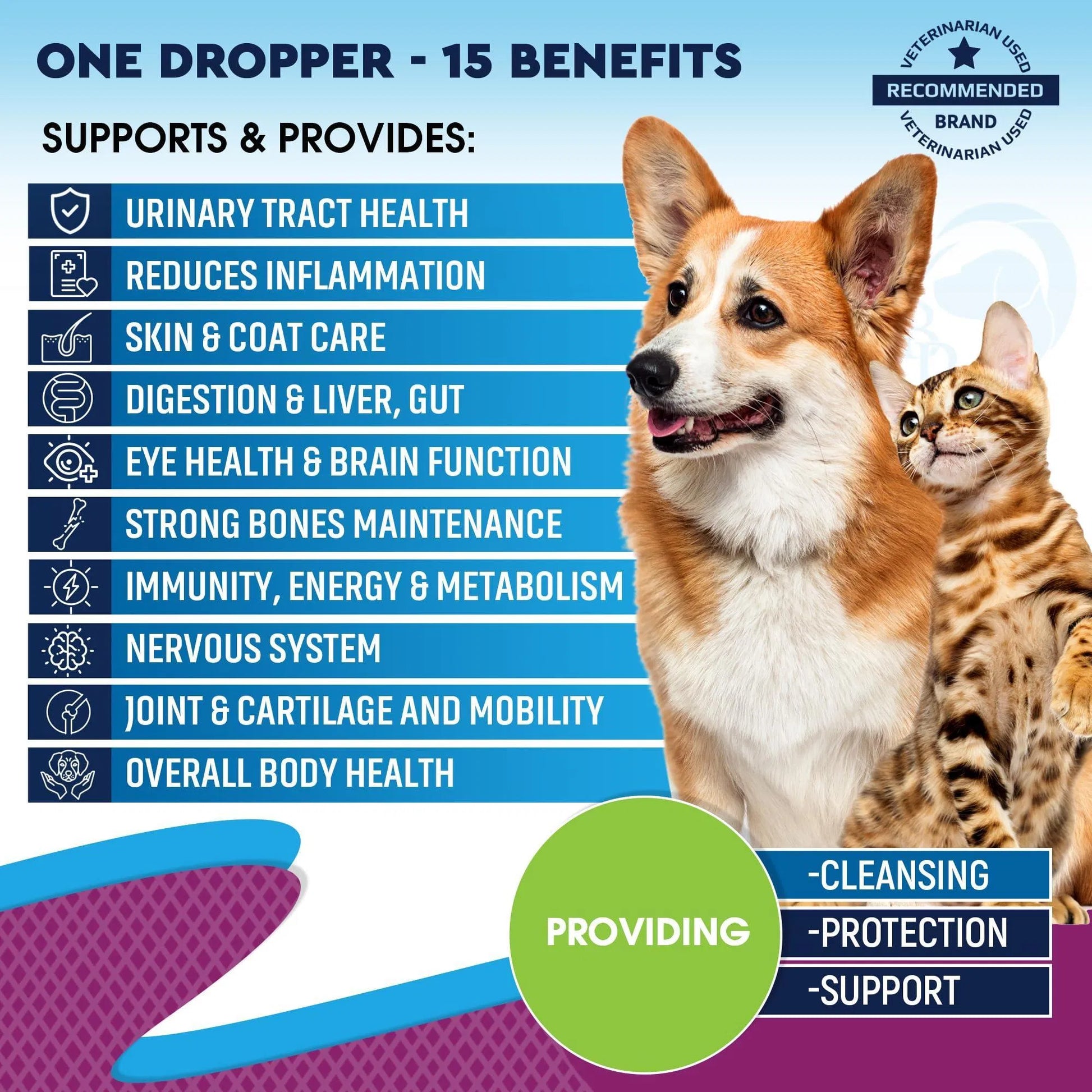 Liquid multivitamin for dogs and cats supports urinary tract, skin and coat, joints and immune function