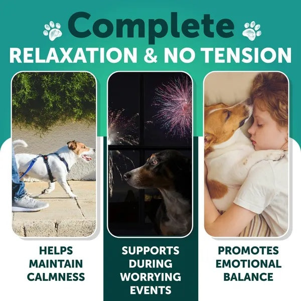 Hemp calming chews for dogs — helps maintain calmness, supports during worrying events, promotes emotional balance