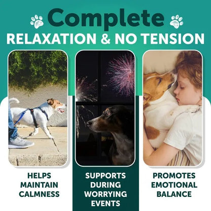 Hemp calming chews for dogs — helps maintain calmness, supports during worrying events, promotes emotional balance