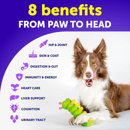 Multivitamin for dogs with 8 benefits — joints, coat, digestion, immunity, energy, heart, liver and cognition