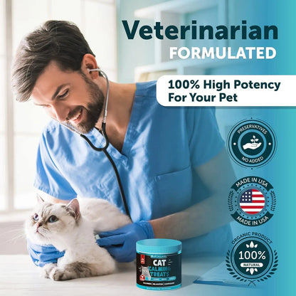 Veterinarian examining a cat while promoting hemp calming chews for cats with high potency and organic ingredients.
