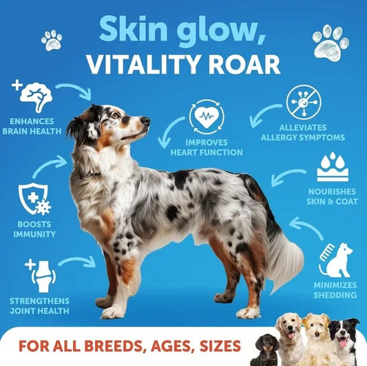 Salmon oil for senior dogs supports skin glow, coat health, vitality and joint mobility in all breeds
