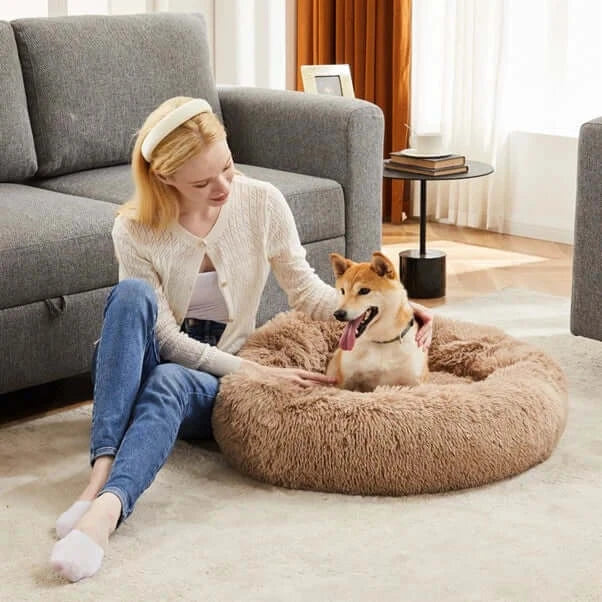 Small senior dog relaxing inside the Calm-Cloud™ plush donut dog bed for senior dogs