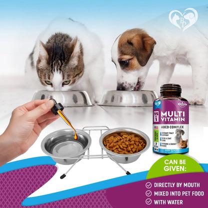 Giving liquid multivitamin to dogs and cats by dropper — can be added to food or given directly by mouth