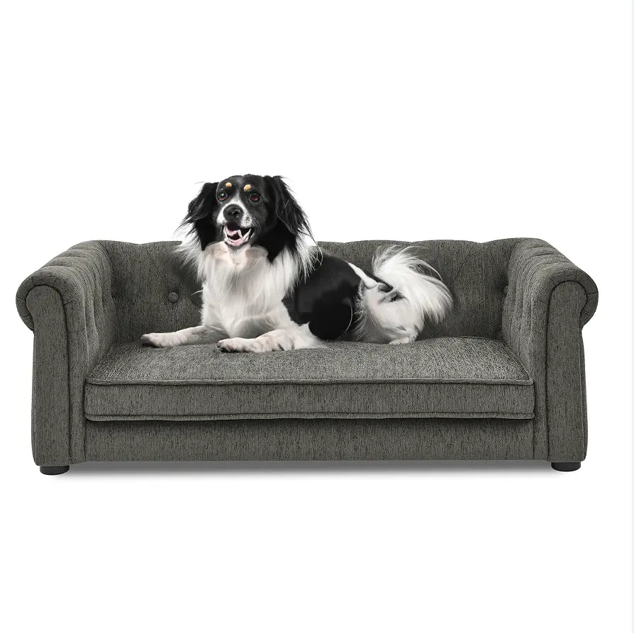 Raised Dog Sofa, breed dog laying on a dark grey cushion