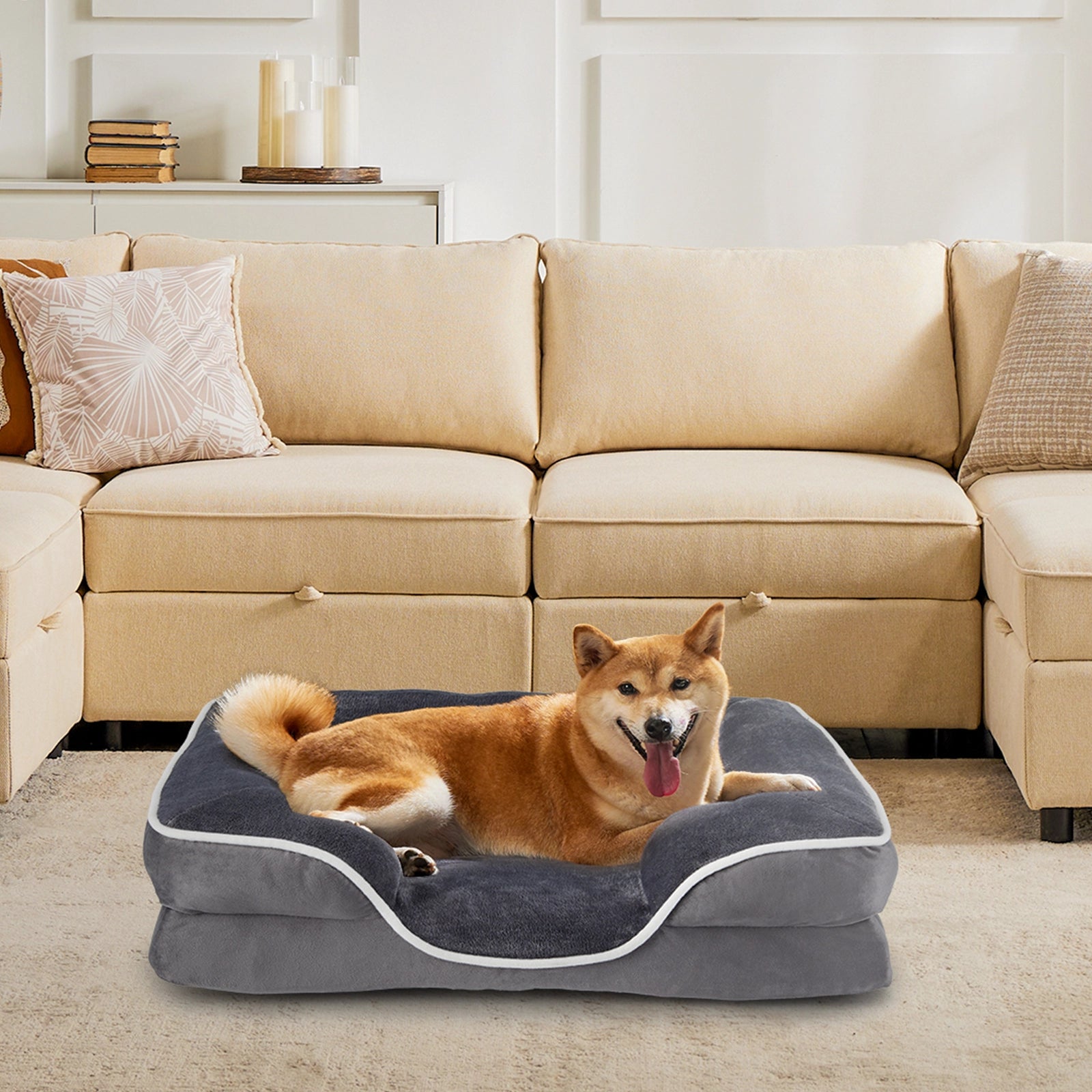 Large grey orthopedic memory foam dog bed inside a sunny modern living room