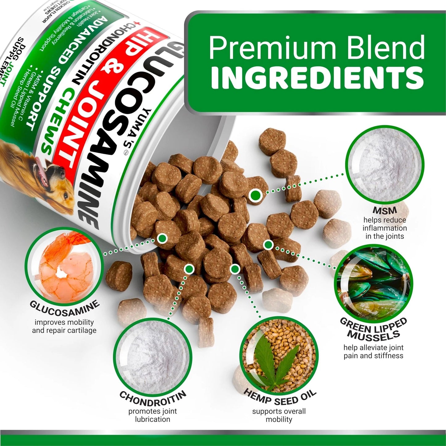 Glucosamine chews for dogs - premium blend ingredients including glucosamine, chondroitin, MSM, and green lipped mussels.