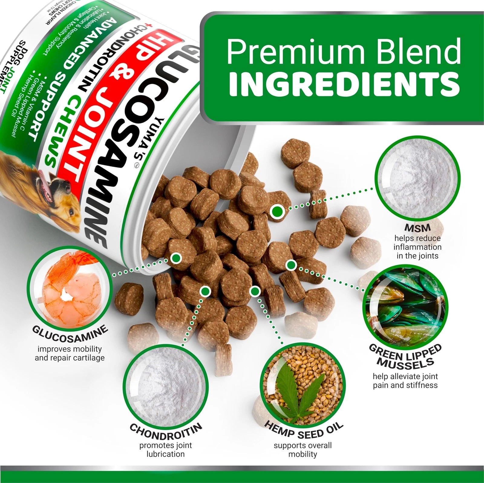 Glucosamine chews for dogs - premium blend ingredients including glucosamine, chondroitin, MSM, and green lipped mussels.
