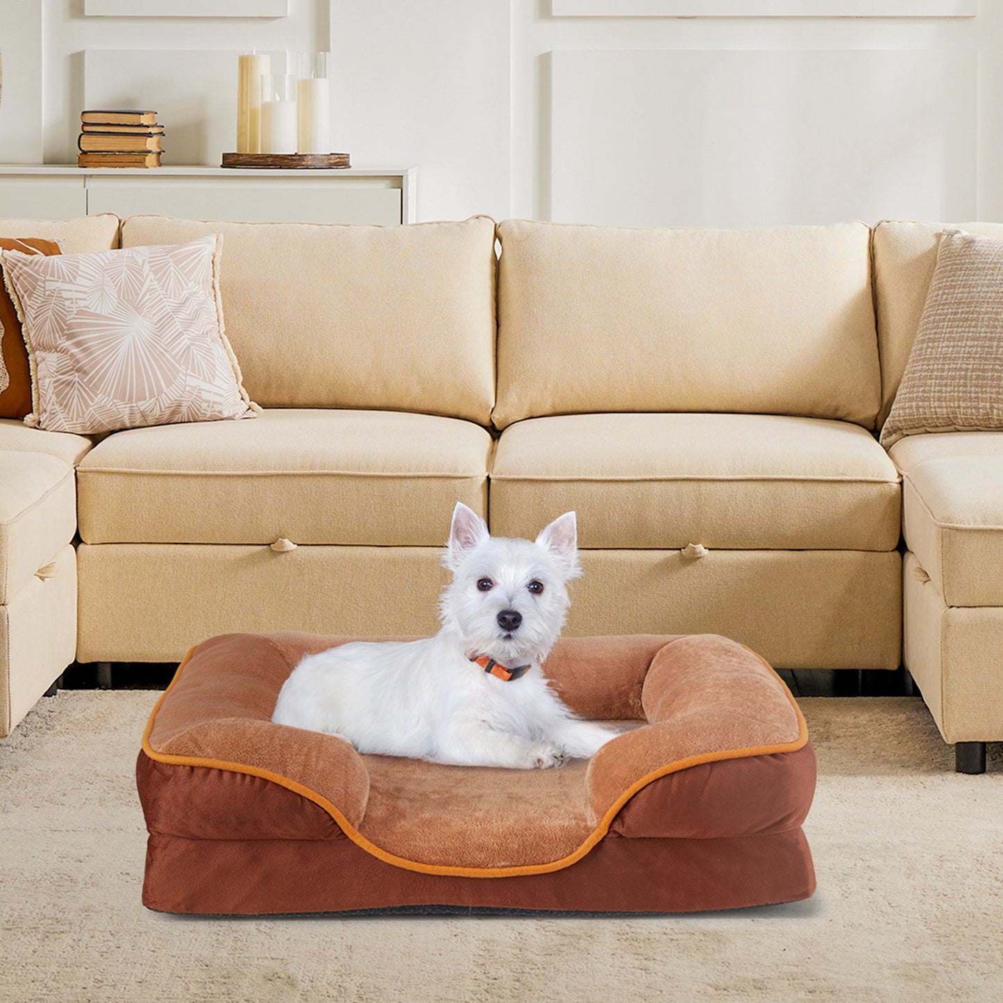 White Westie dog resting on a brown bolstered sofa bed in a living room