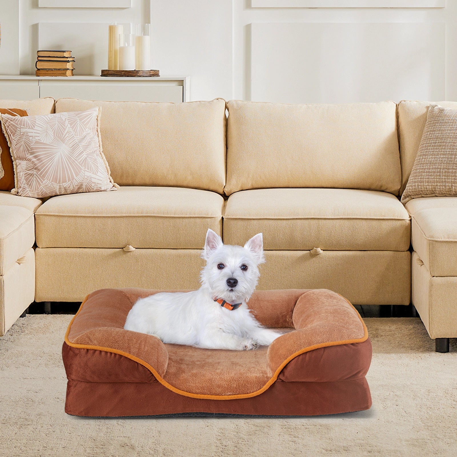 White Westie dog resting on a brown bolstered sofa bed in a living room